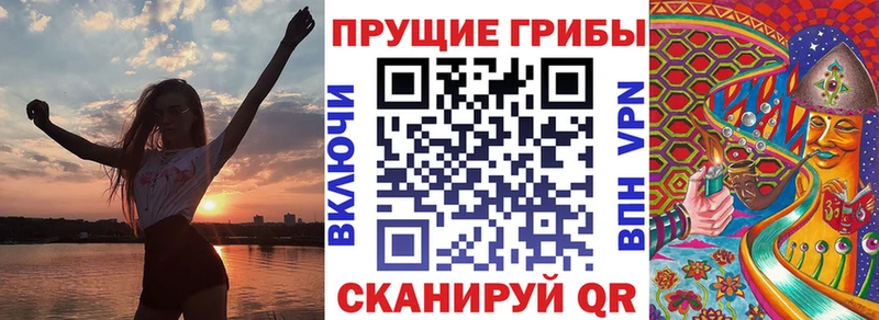 Купить где  Елец  Псилоцибиновые грибы Psilocybine cubensis 